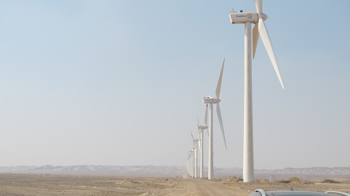 Крупнейшая в Египте ветряная электростанция введена в эксплуатацию