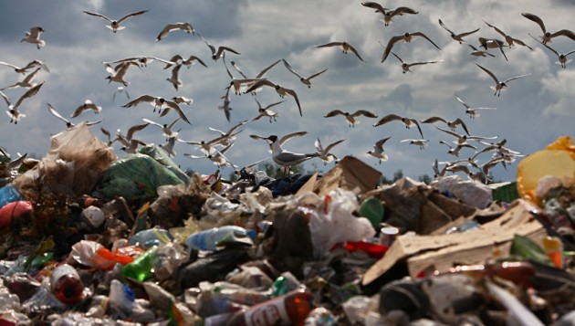 Более триллиона рублей понадобится для создания индустрии переработки отходов
