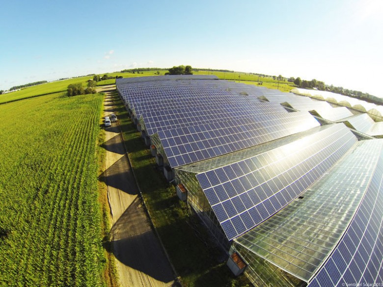 Солнечные модули будут установлены в теплицах "пятого поколения" на территории Чувашии